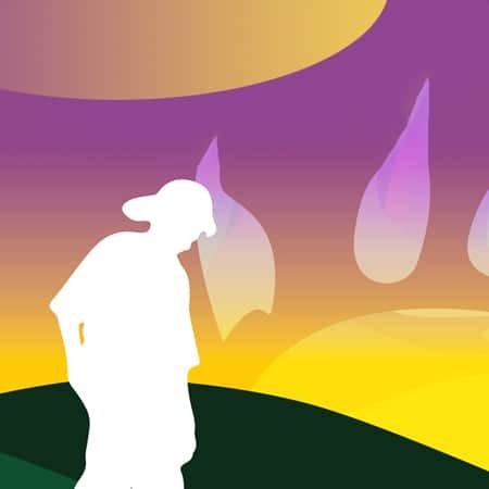 CONFERENCES AND SECTION 19 (SERVICE PROVIDERS) BOOKLET