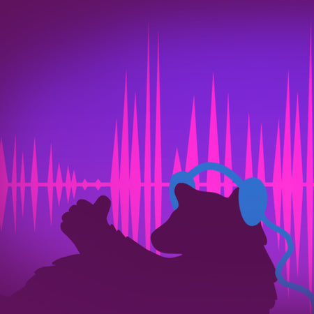 CYBERBULLYING PODCAST